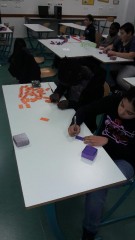 IMG_1750.jpeg