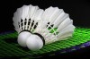 badminton-2.jpg