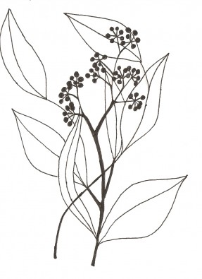 Fleurs en noir et blanc atelier dessin du coll ge de l agiot