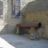 DSC08813.jpg