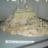 DSC08829.jpg