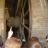 DSC08856.jpg