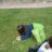DSC08934.jpg