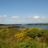 DSC08980.jpg