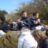 DSC08990.jpg