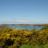 DSC08998.jpg