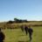 DSC09014.jpg