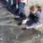 DSC09016.jpg