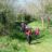 DSC09022.jpg