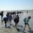 DSC08793.jpg