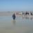 DSC08796.jpg