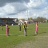 DSC09740.jpg