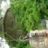 DSC06919.jpg