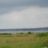 DSC06939.jpg