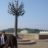 DSC08279.jpg