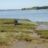 DSC07004.jpg