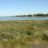 DSC07007.jpg