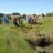 DSC07015.jpg