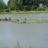 DSC07032.jpg