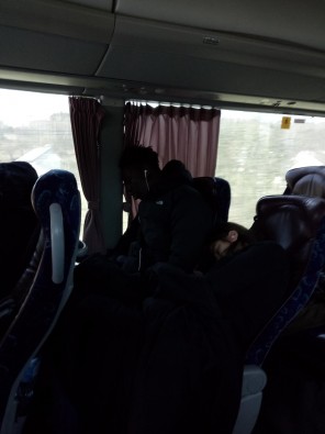 bus dodo.jpg