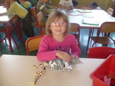 P1020437.jpg