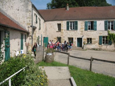 IMG_7296.jpg