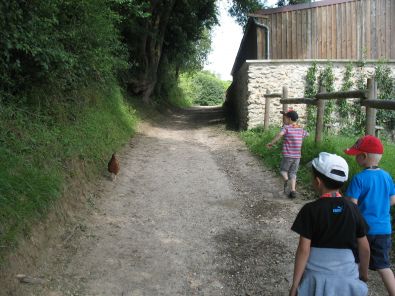 IMG_7317.jpg