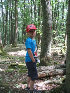 IMG_7329.jpg