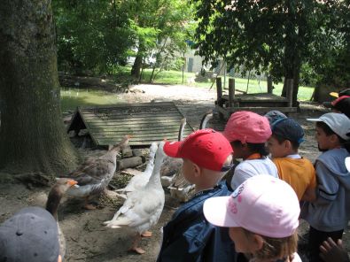IMG_7382.jpg