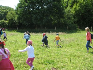IMG_7399.jpg