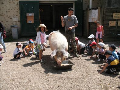 IMG_7443.jpg