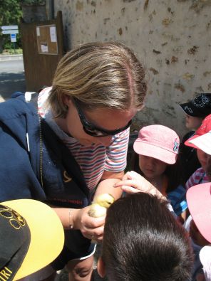 IMG_7462.jpg