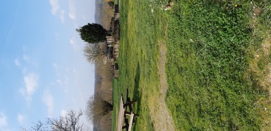 20180320_093754.jpg