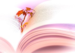 book-3026883__340.jpg