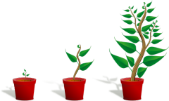 sapling-154734__340.png
