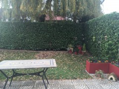3CB4EA9F-6ECB-40B4-B2CC-82C1175A5C89.jpeg