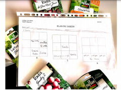 plan.PNG