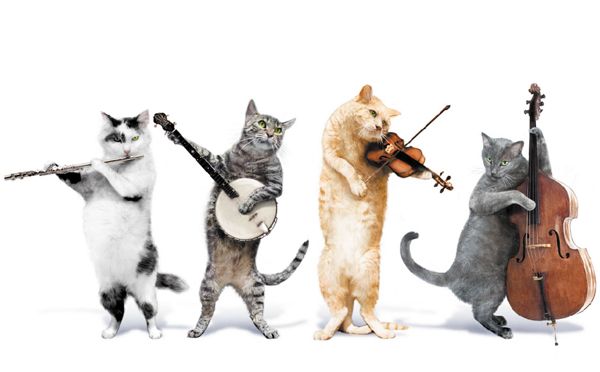 JINGLE CATS MUSIC