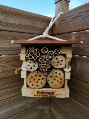 hotel insecte Evan.jpg