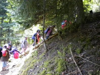 La montée de la mort