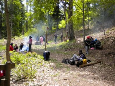 Encore... le pique nique