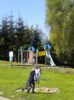 Un jeu dans le parc