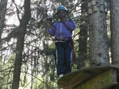 Sur un arbre perché