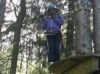 Sur un arbre perché