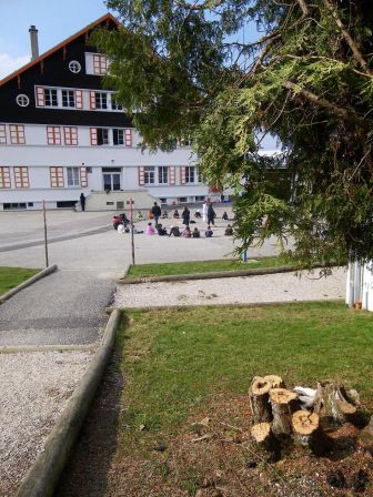 Gouter en plein air