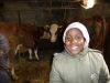 Encore à la ferme