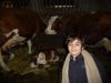 Toujours la ferme
