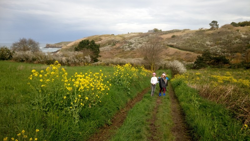 jour_20075.jpg