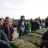 ostreiculture0176.jpg
