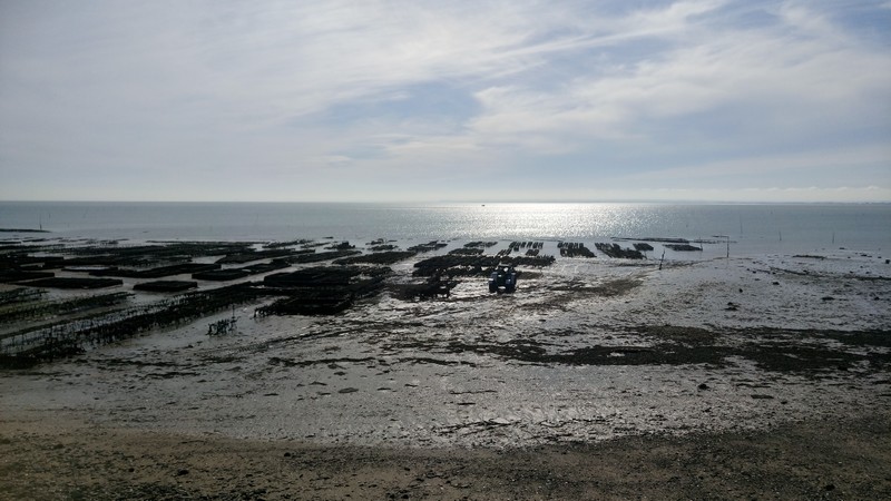 ostreiculture0022.jpg